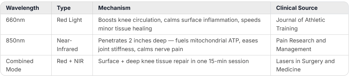 glokore knee massager basics